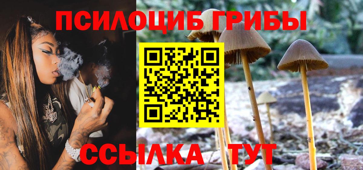 Чебоксары  Галлюциногенные грибы мицелий  Вход с VPN 